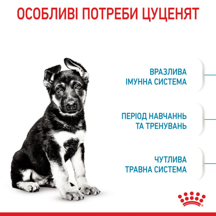 Корм Royal Canin Maxi Puppy для цуценят порід великих порід, до 15 міс. 15 кг