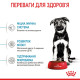 Корм Royal Canin Maxi Puppy для цуценят порід великих порід, до 15 міс. 15 кг