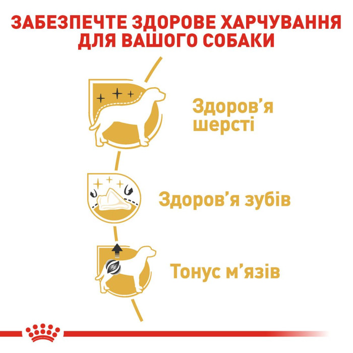 Корм Royal Canin Poodle Adult для взрослых собак породы пудель в возрасте от 10 мес., 1,5 кг