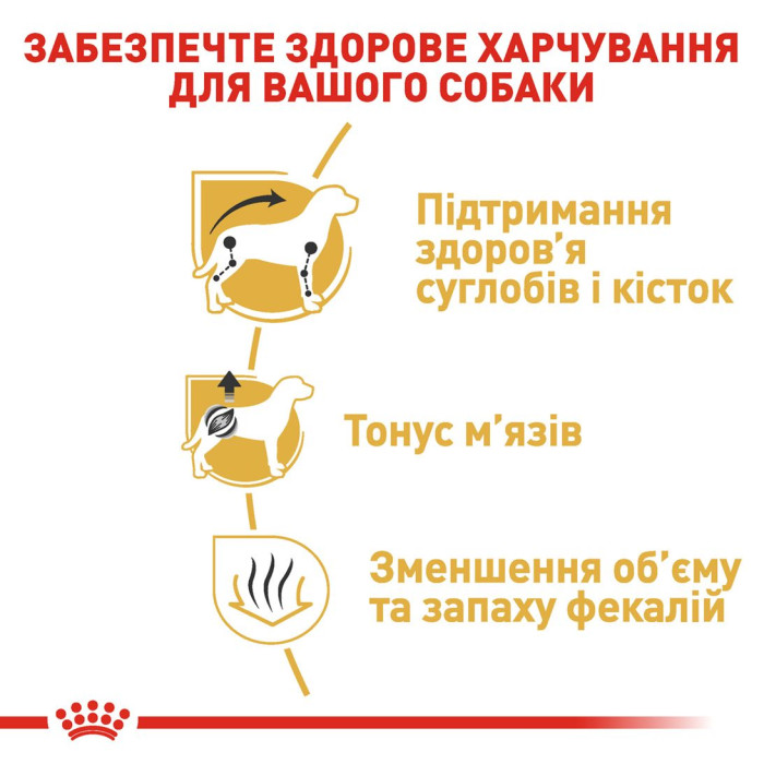 Корм Royal Canin Dachshund Adult для дорослих собак породи такса віком від 10 міс. 1,5 кг