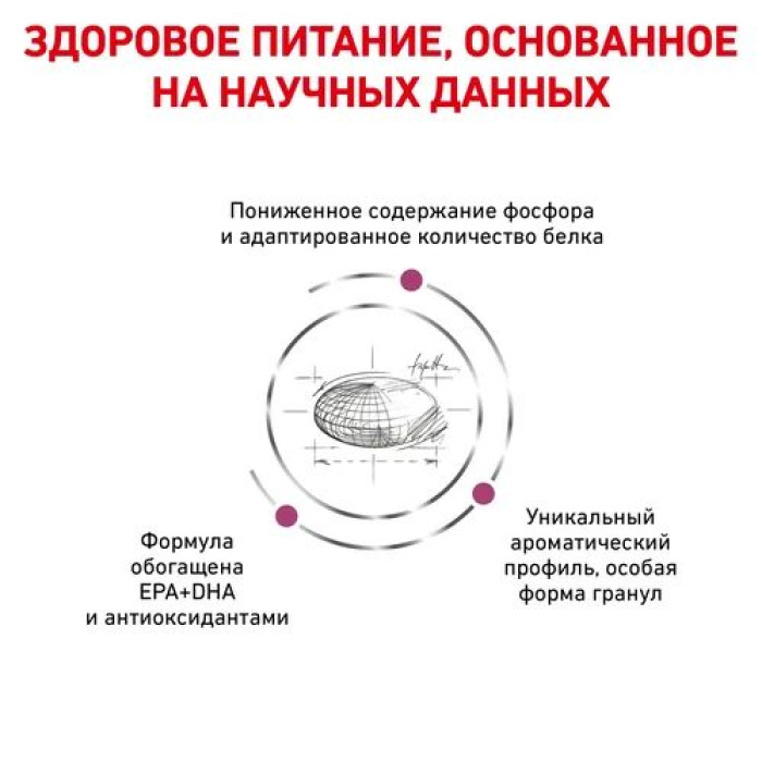 Корм Royal Canin Renal Feline для дорослих кішок із хронічною нирковою недостатністю 2кг УЦІНКА