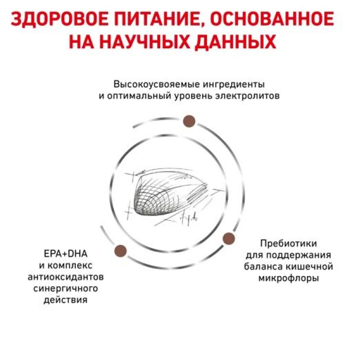 Корм для кошек Royal Canin Gastrointestinal Feline при острых расстройствах желудочно-кишечного тракта, в период реабилитации и выздоровления 4кг