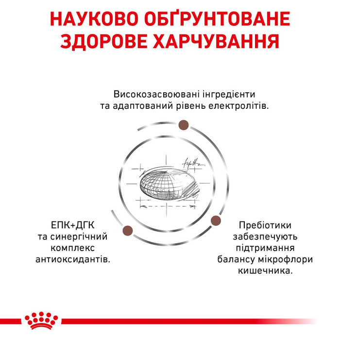 Корм Royal Canin Gastrointestinal для дорослих собак при гострих розладах травлення, 2 кг