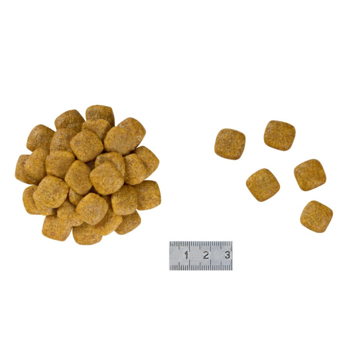 Корм Royal Canin Renal Canine для лікування ниркової недостатності у собак, 2 кг