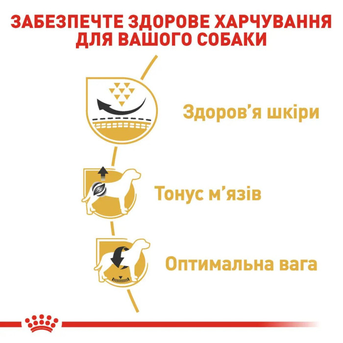 Корм Royal Canin Pug Adult для собак породи мопс старше 10 міс. 0,5 кг