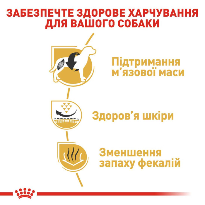 Корм Royal Canin French Bulldog Adult для дорослих собак породи французький бульдог віком від 12 міс. 3 кг