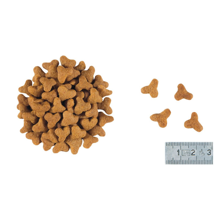Корм Royal Canin Fibre Response Feline для котів при порушенні травлення 4 кг
