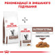 Дієтичний корм Royal Canin Gastrointestinal Moderate Calorie Feline при гострих розладах шлунково-кишкового тракту котів 2кг