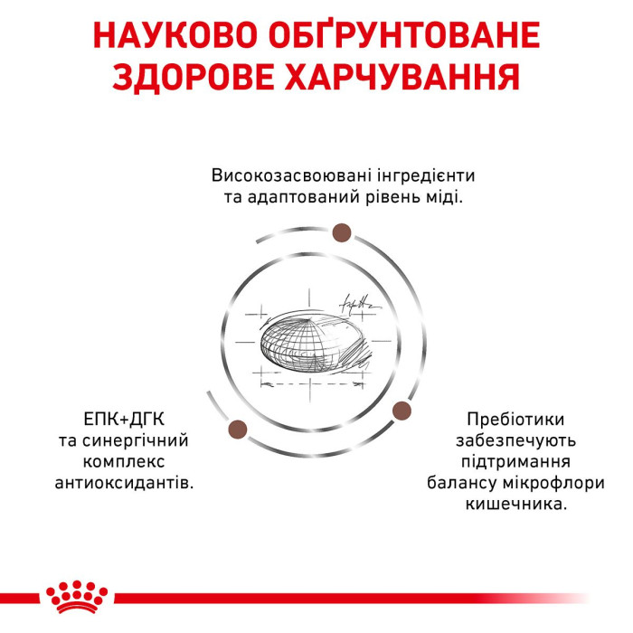 Корм Royal Canin Hepatic Feline для котів з порушеннями функцій печінки 2кг
