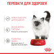 Консервы Royal Canin Kitten Chunks in gravy (кусочки в соусе) для котят до 12 месяцев, 85г