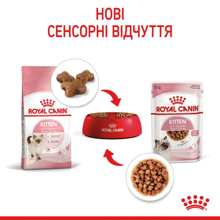 Консервы Royal Canin Kitten Chunks in gravy (кусочки в соусе) для котят до 12 месяцев, 85г