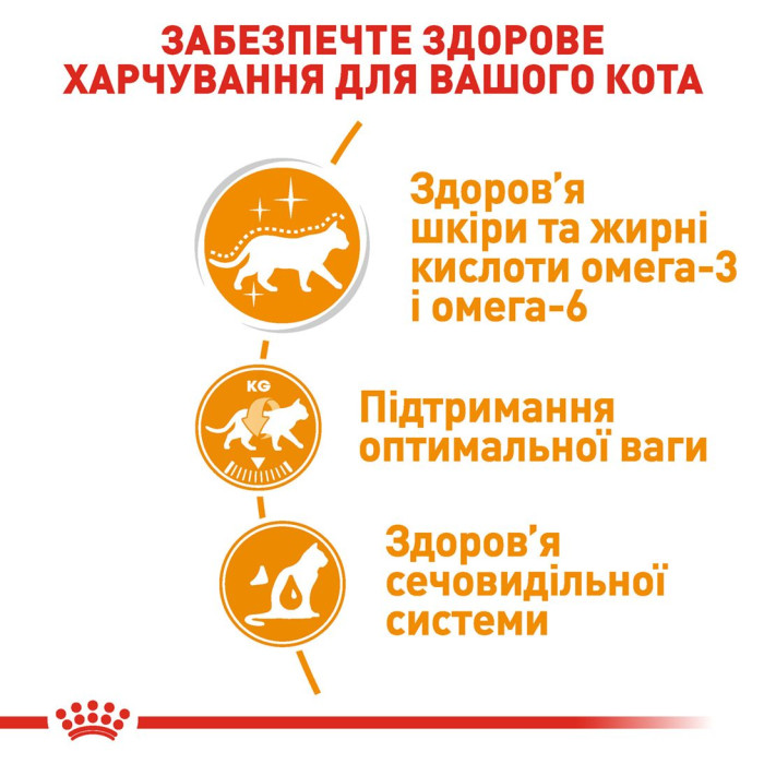 Консервы Royal Canin Intense Beauty Care in gravy (кусочки в соусе) для кошек в от 12 месяцев для поддержания здоровья кожи и шерсти, 85 г