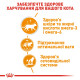 Консервы Royal Canin Intense Beauty Care in gravy (кусочки в соусе) для кошек в от 12 месяцев для поддержания здоровья кожи и шерсти, 85 г