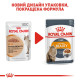Консервы Royal Canin Intense Beauty Care in gravy (кусочки в соусе) для кошек в от 12 месяцев для поддержания здоровья кожи и шерсти, 85 г