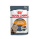 Консервы Royal Canin Intense Beauty Care in gravy (кусочки в соусе) для кошек в от 12 месяцев для поддержания здоровья кожи и шерсти, 85 г
