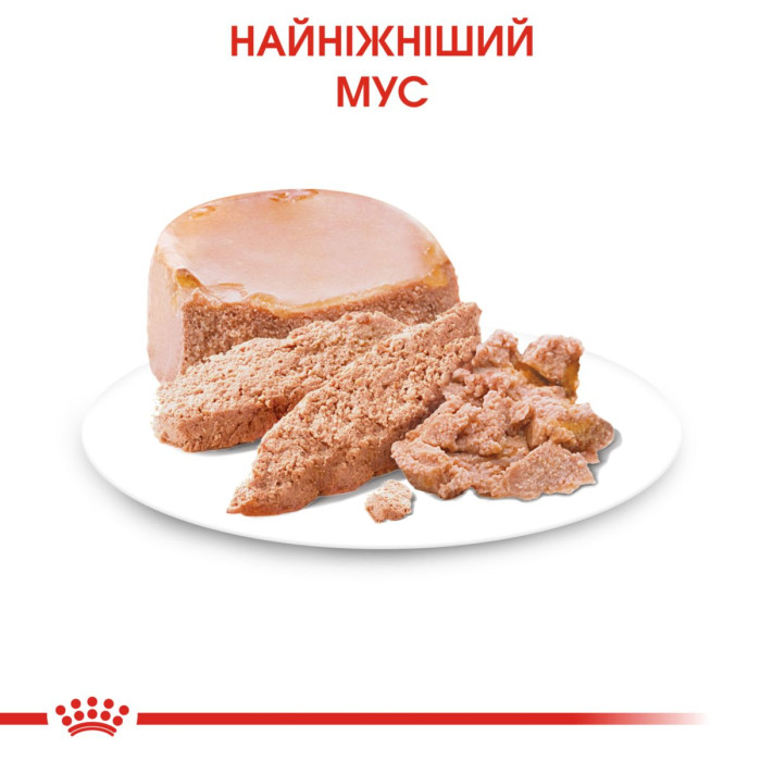 Консерви Royal Canin Starter Mousse Mother & Babydog, 195 г