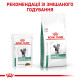 Консерви Royal Canin Diabetic Feline для кішок при цукровому діабеті, 85 г