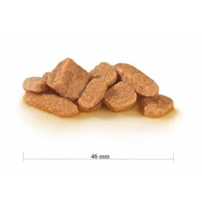 Консервы Royal Canin Neutered Adult Maintenance (кусочки в соусе) для котов и кошек с момента стерилизации/кастрации до 7 лет, 8+4 пауча