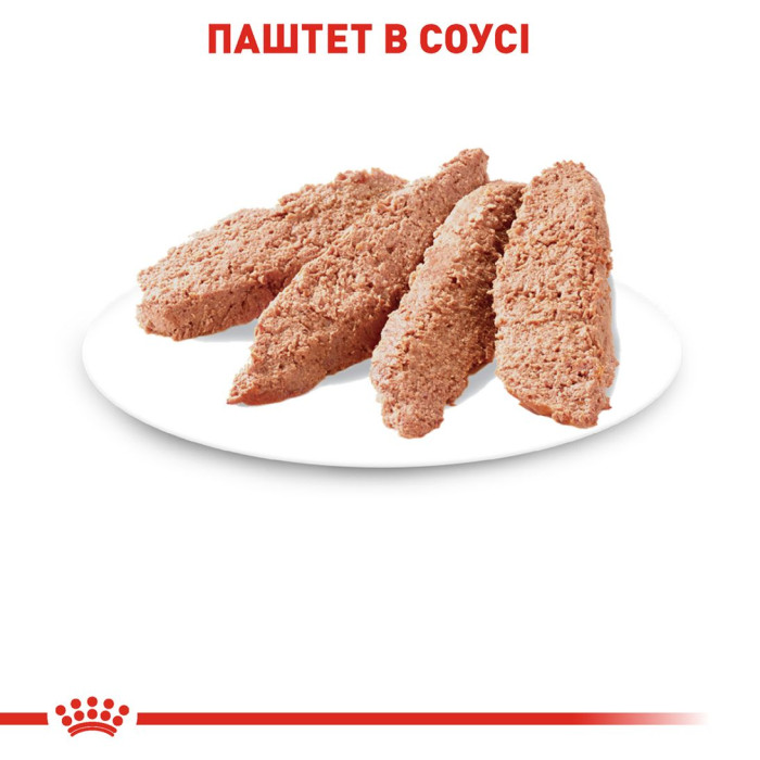 Консервы Royal Canin Sterilised wet in sause (кусочки в соусе) для стерилизованных котов в возрасте от 12 месяцев, 85г.