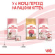 Влажный корм для новорожденных котят Royal Canin MOTHER & BABYCAT (Ultra soft mousse), 195 г
