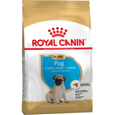 Корм Royal Canin PUG PUPPY для цуценят породи Мопс у віці до 10 міс. 1,5 кг