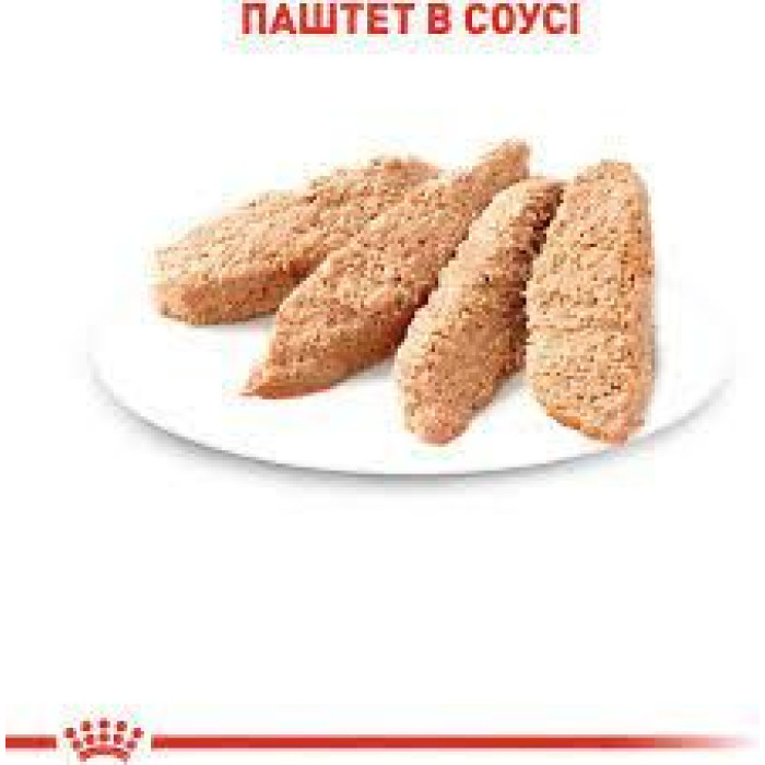 Консервы Royal Canin Kitten (паштет) для котят до 12 месяцев, 85 г