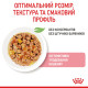 Консервы Royal Canin Kitten Chunks in jelly (кусочки в желе) для котят до 12 месяцев, 85г