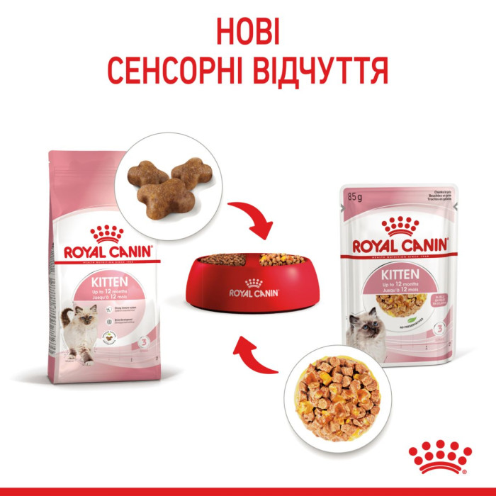 Консервы Royal Canin Kitten Chunks in jelly (кусочки в желе) для котят до 12 месяцев, 85г