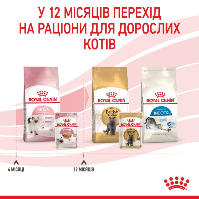 Консервы Royal Canin Kitten Chunks in jelly (кусочки в желе) для котят до 12 месяцев, 85г