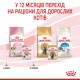 Консервы Royal Canin Kitten Chunks in jelly (кусочки в желе) для котят до 12 месяцев, 85г