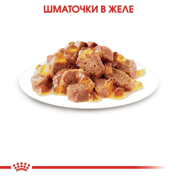Консерви Royal Canin Sterilised in jelly (шматочки в желе) для стерилізованих котів від 12 місяців, 85г