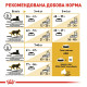 Корм Royal Canin Bengal Adult для кішок породи бенгальська віком від 12 місяців 10кг