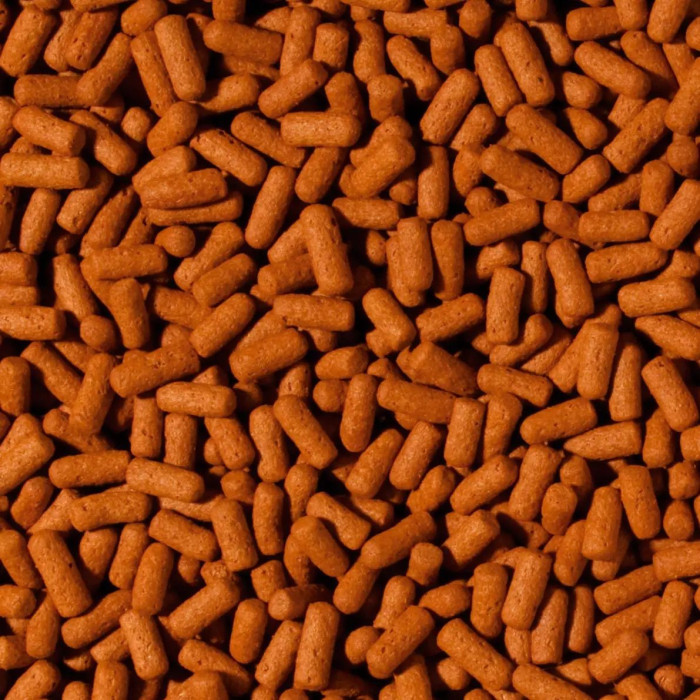 Корм для плотоядных цихлид Tropical Cichlid and Arowana Large Sticks 1L/300g