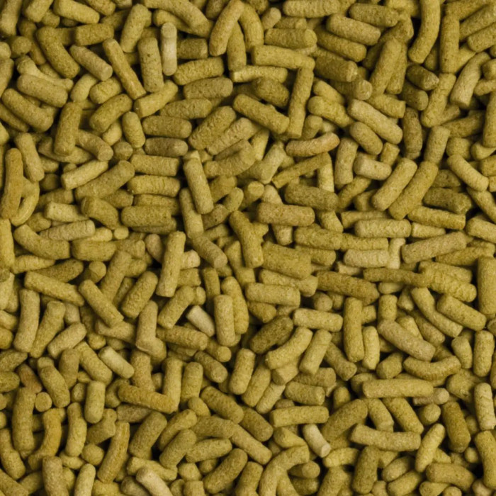 Сухой корм для сухопутных черепах Tropical Biorept L 100ml/28g