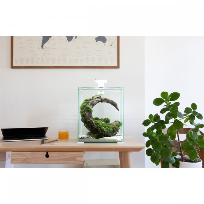 Акваріум для креветки SMART 2.0 / Day and Night 10L, білий