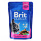 Влажный корм для кошек Brit Premium Cat Chicken & Turkey pouch, курица и индейка, 100г