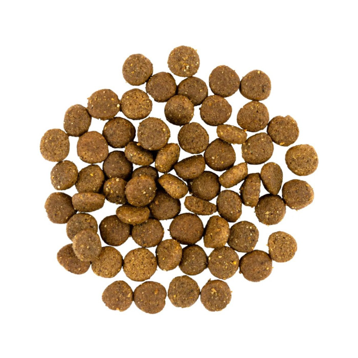 Корм холістик Savory Puppy Fresh Turkey&Chicken для цуценят всіх порід, зі свіжим м'ясом індички та курки, 12kg