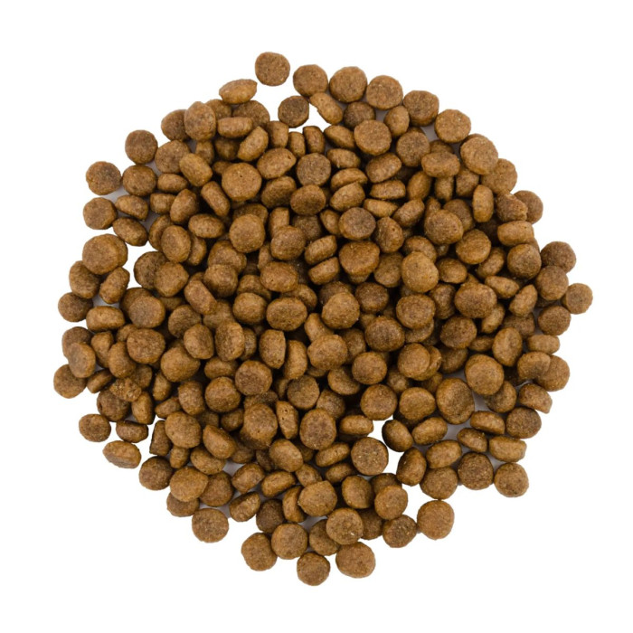 Корм Savory Adult Cat Gourmand Fresh Turkey&Duck 2 кг + 3 консерви у подарунок