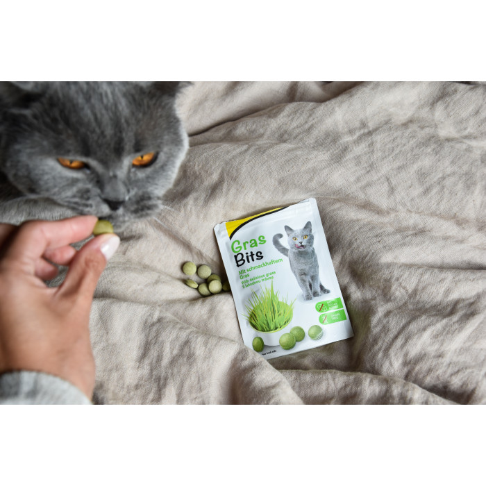 Витамизированные таблетки для кошек GimCat Gras Bits травяные шарики, пауч, 425 г 