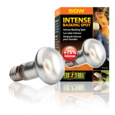 Рефлекторная лампа ExoTerra Daylight Intense Basking Spot для террариумных животных, дневная, накаливание, 50 W, E27 (для обогрева)