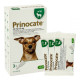 Капли от блох и паразитов KRKA Prinocate для собак весом до 4 кг, 1 мл