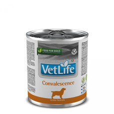 Вологий Farmina Vet Life Convalescence для собак, дієта для відновлення харчування та одужання, 300 г
