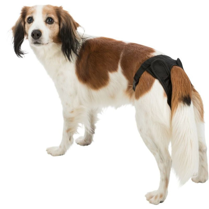 Труси захисні, чорні