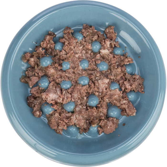 Миска кермічна "Slow Feed", 0.25л/18см