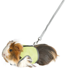 Поводок+шлея мягкая для морской свинки