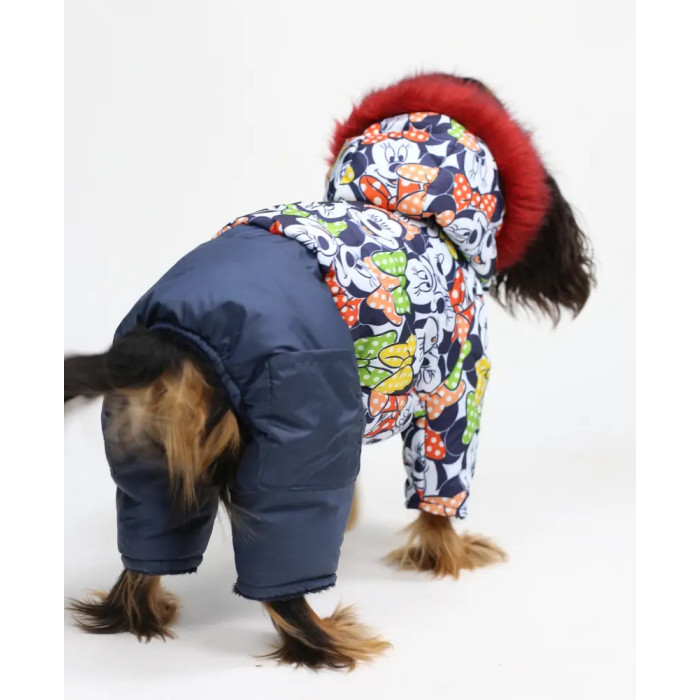 Зимний комбинезон на меху Микки AM-25