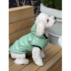Жилет лакированный для собак мятный G-62