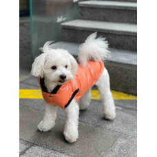 Жилет лакированный для собак оранж G-63