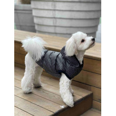 Жилет для собак в горошек G-67