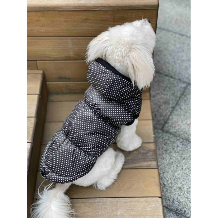 Жилет для собак в горошок G-67